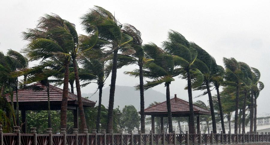 Photo taken on Sept. 29, 2011 shows strong wind blows trees in Sanya, south China's Hainan Province. Typhoon Nesat heads towards south China and is moving at an average wind speed of 20 km per hour toward the west coast of China's Guangdong Province.