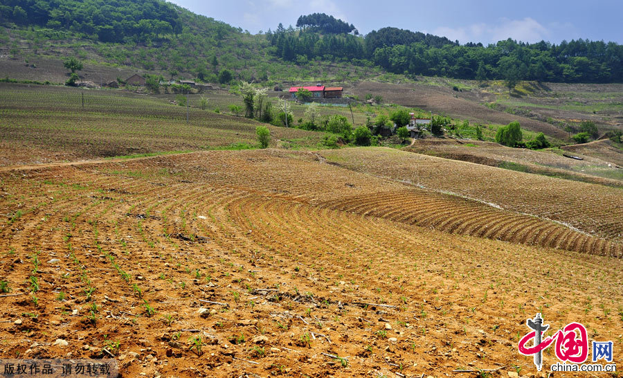 Little Qiandao Lake in Liaoning Province