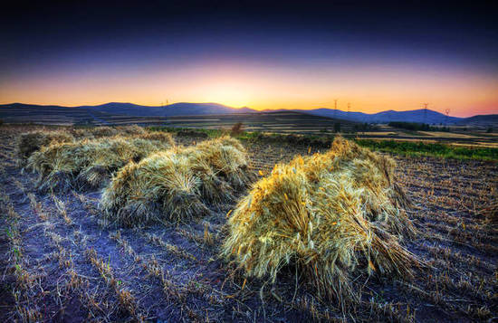 Autumn Terraced Fields in Zhangjiakou