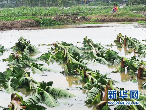 Typhoon Nesat continued to wreak havoc in south China 