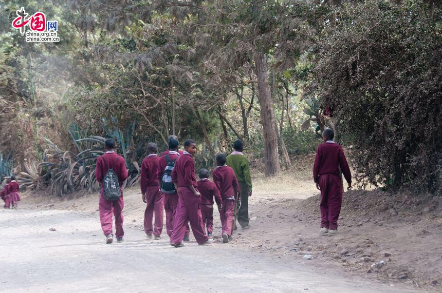 A group of Tanzanian students walk on the rural road after school. [Maverick Chen / China.org.cn]