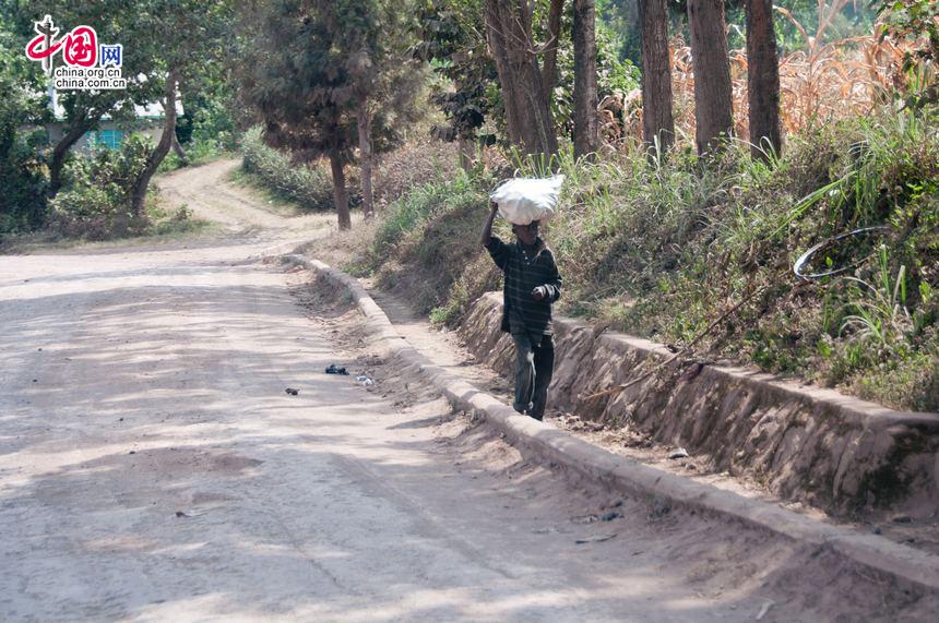 A boy carries a bag on his head while walking in rural Tanzania. Children start to take their shares in the family labour since very young due to the lack of agricultral machinery in the under developed country on the east coast of Africa. [Maverick Chen / China.org.cn]