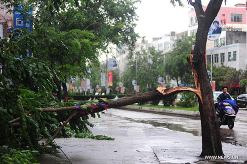 Tropical Storm Brings Downpours to S. China