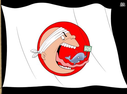 A whale of a problem [By Jiao Haiyang/China.org.cn]