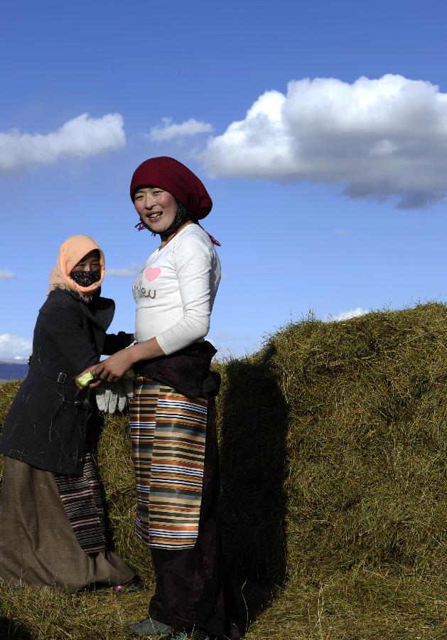 Two women rest as they packed up the mowing in Damxung County of southwest China's Tibet Autonomous Region, Oct. 4, 2011. As a kind of tradition, herdsmen in Tibet mowed the field to provide the livestock with fodder in winter days. (Xinhua/Chogo) (xzj) 