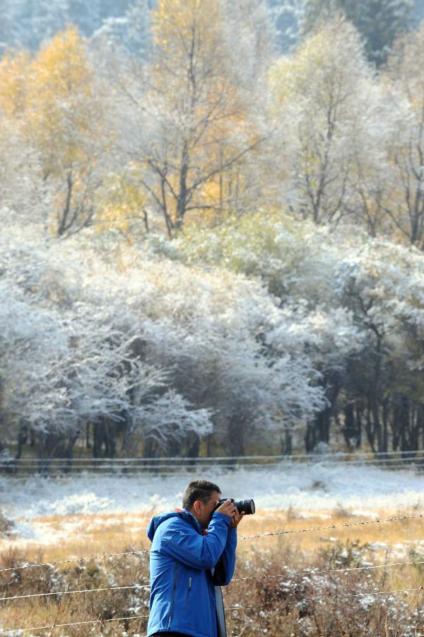 A tourist takes photos of autumn scenery after a snow at the foot of Qilian Mountain in Qilian County, northwest China's Qinghai Province, Oct. 4, 2011. [Xinhua/Hou Deqiang]