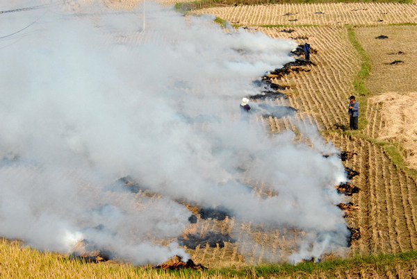 Farmers burn straw in their fields after harvesting in Pingba county of Anshun, a city in Guizhou province, on Sunday, Oct 9, 2011. Burning straw is popular in rural areas. [China Daily]