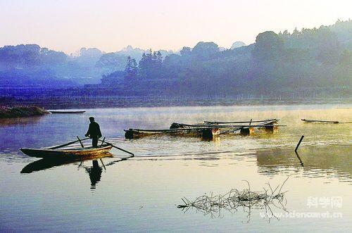 Poyang Lake is one of China's major habitats for wild freshwater fish. [File photo]