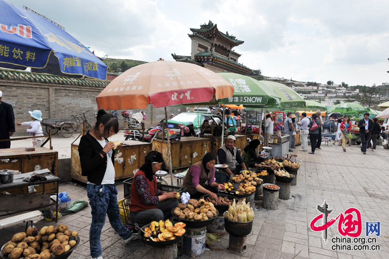 The Ta'er Temple is located at the southwest corner of Lusha'er Town in Niezhong County, Qinghai Province. It is one of the six temples of the Gelug Sect of Tibetan Buddhism. 