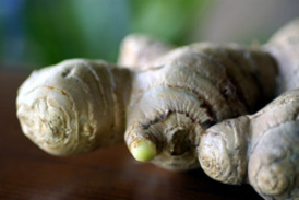 Ginger supplements reduced markers of colon inflammation in a select group of patients, according to a study published in Cancer Prevention Research. [File photo] 