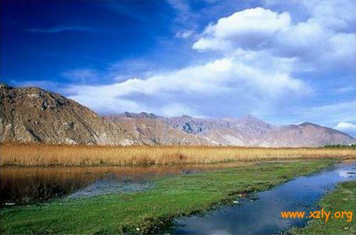 Tibet has six million hectares of wetlands, about 10 percent of China's total, and they are home to rare species like the Tibetan antelope and black-necked cranes, according to the forestry bureau. [xztours.com] 