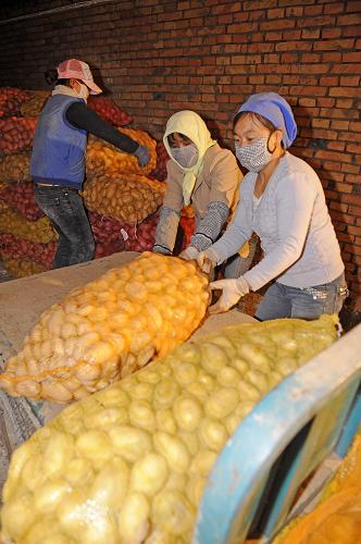 Guyuan city assists potato farmers