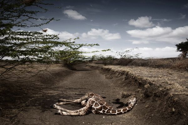 Drought in Kenya [Stefano de Luigi / 'Zoom-in on Poverty' Global Photo Contest]
