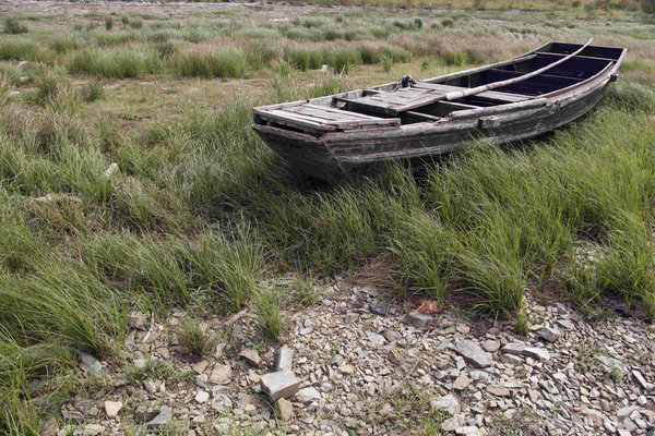 A dilapidated fishing boat sits on the shore amid weeds one foot high and stones by Poyang Lake in Jiuyang city, East China’s Jiangxi province, Oct 16, 2011.