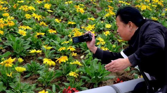 A visitor shoots VCR images at the site of the 2011 International Horticultural Expo in Xi'an, capital of northwest China's Shaanxi Province, Oct. 22, 2011. The 178-day event will close on Saturday night. [Xinhua]