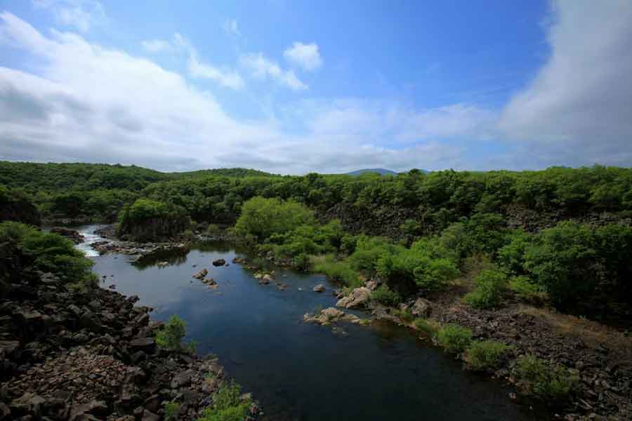 heilongjiang_黑龙江11选5开奖结果_黑龙江交通