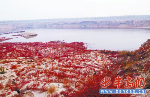 A large sand pits designed to be freshwater fish breeding bases, were located. Nothing remained alive around them except one kind of red plant. [bandao.cn] 