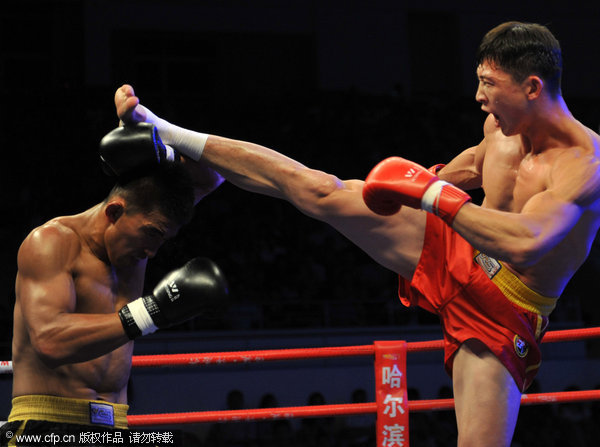 2011 Chinese Sanshou Martial Arts Championship took place in Haikou, Hainan Province on Tuesday, November 1, 2011.