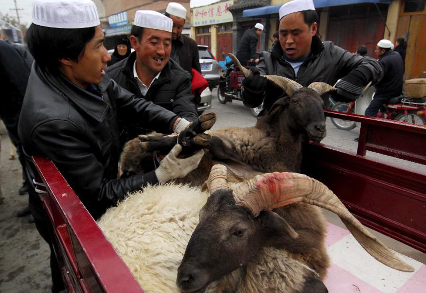 Muslims buy sheep in a bazar in Linxia, northwest China's Gansu Province, Nov. 6, 2011. Muslims in northwest China celebrated their traditional feast of Corban Festival, or Eid al-Adha Sunday.