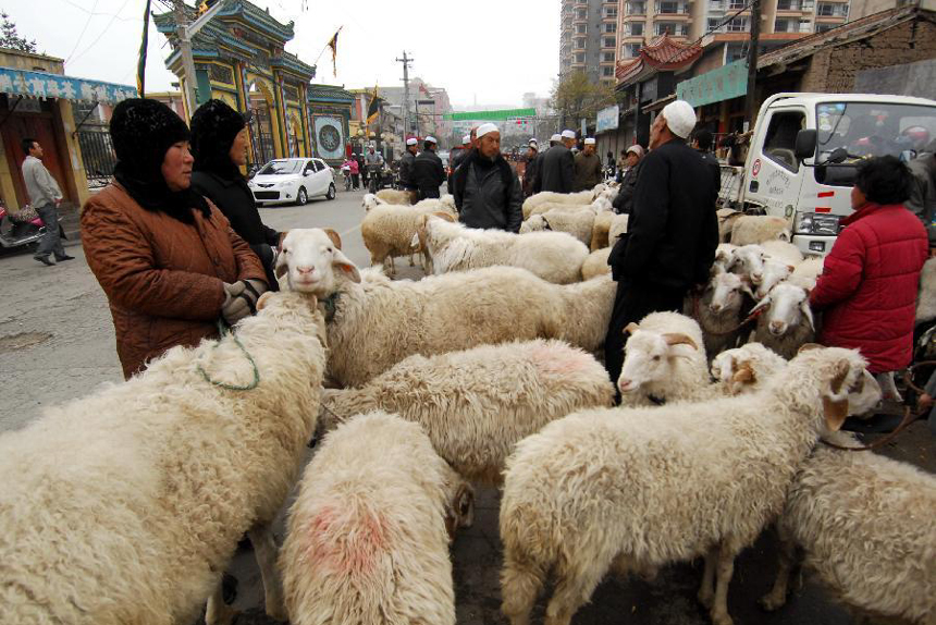 Muslims buy sheep in a bazar in Linxia, northwest China's Gansu Province, Nov. 6, 2011. Muslims in northwest China celebrated their traditional feast of Corban Festival, or Eid al-Adha Sunday.