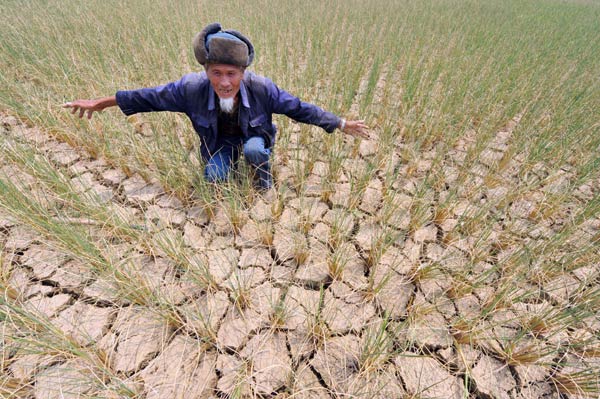 china crops