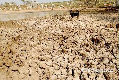 Severe drought hit Yunan Province, causing two million people lack of drinking water. [File photo]