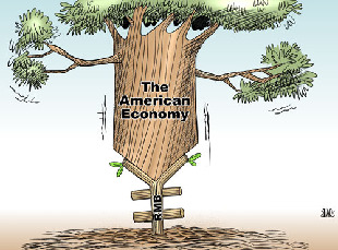 Tree grafting US-style [By Jiao Haiyang/China.org.cn]