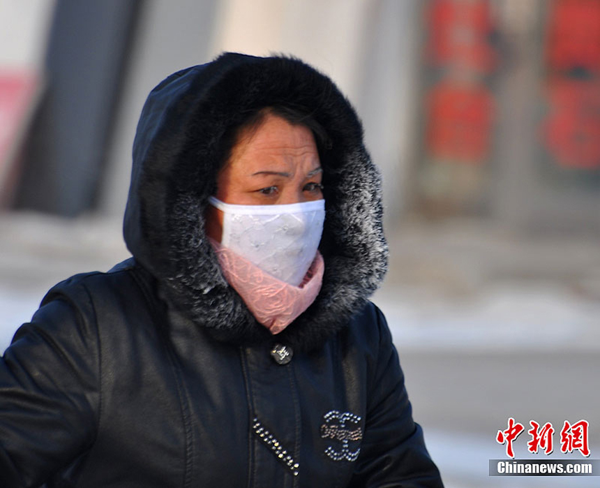 A passenger walks hard amid snow and wind in Deerbuer Township of Hulunbuir City, north China's Inner Mongolia Autonomous Region, Nov. 13, 2011. The temperature here has plummeted to 30 degrees below zero centigrade.