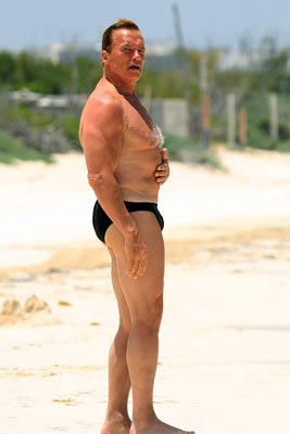 Arnold Schwarzenegger [Xinhua] 