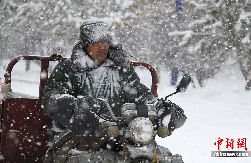 Heavy snowfalls severely impact people’s daily life and agricultural production of Altay, Xinjiang Uygur Autonomous Region, on November 20, 2011. 