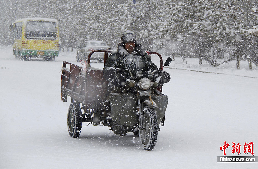 Heavy snowfalls severely impact people’s daily life and agricultural production of Altay, Xinjiang Uygur Autonomous Region, on November 20, 2011. 