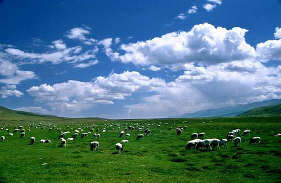Narati Scenic Spot, one of the 'top 10 attractions in Xinjiang, China' by China.org.cn.