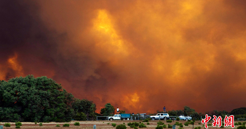 About 400 hundreds firefighters are still battling to contain a bushfire that destroyed at least 19 properties in the Margaret River region of Western Australia (WA), authorities said on Thursday. About 19 houses had been confirmed burnt or damaged, with up to 11 of those seriously damaged. Residents in the region were warned that the fire could still pose a danger to lives and properties as the wind changed direction. [Chinanews.com photo]