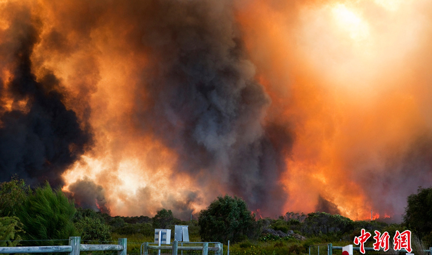 About 400 hundreds firefighters are still battling to contain a bushfire that destroyed at least 19 properties in the Margaret River region of Western Australia (WA), authorities said on Thursday. About 19 houses had been confirmed burnt or damaged, with up to 11 of those seriously damaged. Residents in the region were warned that the fire could still pose a danger to lives and properties as the wind changed direction. [Chinanews.com photo]