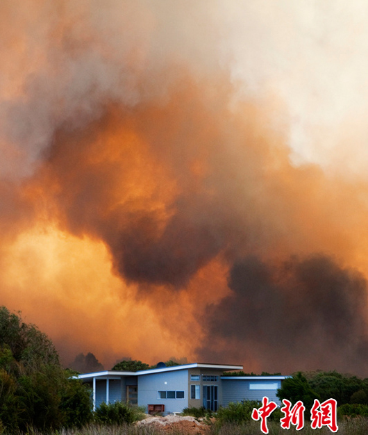 About 400 hundreds firefighters are still battling to contain a bushfire that destroyed at least 19 properties in the Margaret River region of Western Australia (WA), authorities said on Thursday. About 19 houses had been confirmed burnt or damaged, with up to 11 of those seriously damaged. Residents in the region were warned that the fire could still pose a danger to lives and properties as the wind changed direction. [Chinanews.com photo]