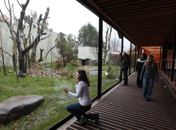 Staff look into one of the new enclosure areas ahead of the arrival of two giant pandas from China in Edinburgh Zoo, Scotland November 29, 2011. The two pandas,Tian Tian and Yang Guang who are being loaned to the zoo for ten years, are expected to arrive from China into Edinburgh this Sunday. 