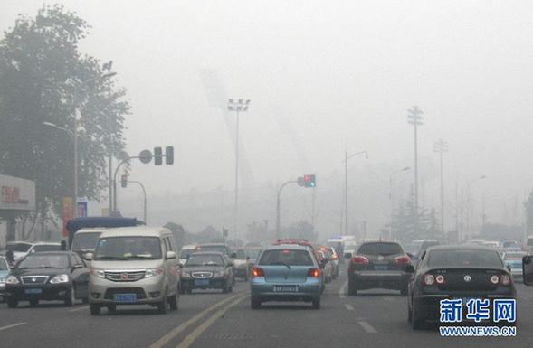 Code blue alert renewed to warn fog in Shandong