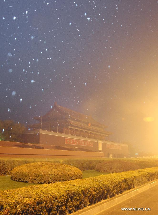 Snow falls onto the plants near the Tian'anmen Rostrum in Beijing, capital of China, Dec. 2, 2011. Beijing witnessed the first snowfall of this winter on Friday morning. [Xing Guangli/Xinhua]