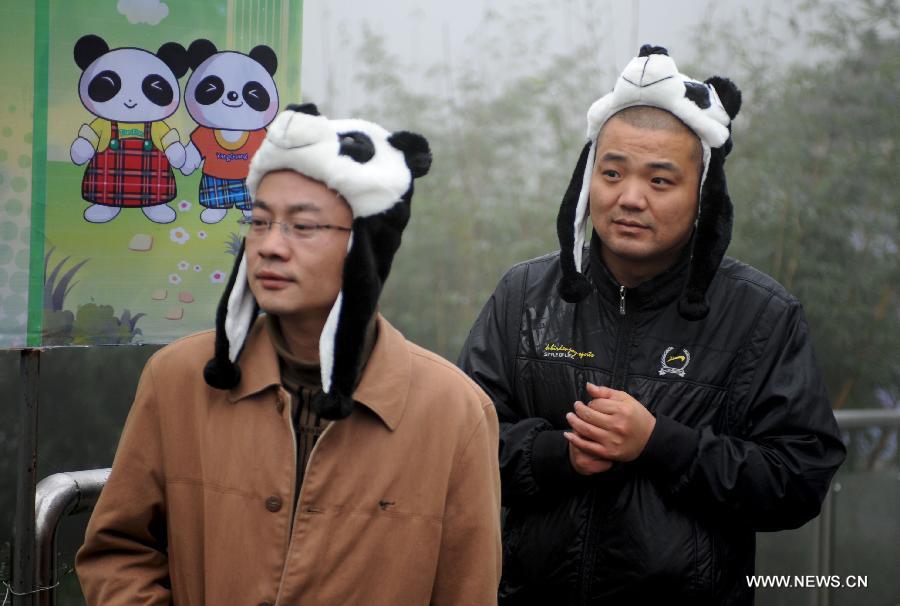 Two visitors with panda headwears see the pandas off to Edinburgh, in Ya'an, southwest China's Sichuan Province, Dec. 3, 2011. As part of a ten-year joint research program, Tian Tian and Yang Guang, the pair of giant pandas, were set off for the Edinburgh Zoo from the Giant Panda Conservation and Research Center in Sichuan here on Saturday.