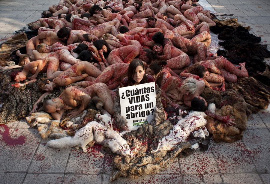 Madrid Naked Protectors Against Fur Industry China Org Cn