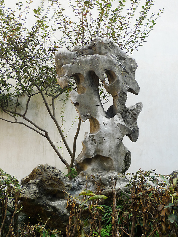 Located at the northeast of Suzhou, Jiangsu Province, the Lion Grove Garden is famous for the Taihu rocks in various shapes which are said to resemble lions, especially the large and labyrinthine grotto of rocks at the garden's center. It is recognized with other classical Suzhou gardens as a UNESCO World Heritage Site. [Photo by Xu Lin / China.org.cn]