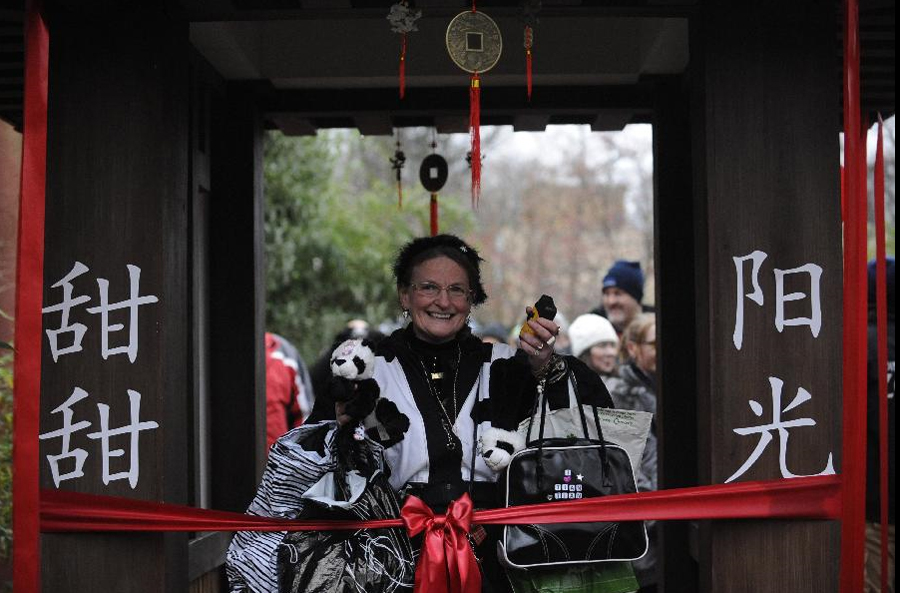 Chinese pandas open to public view in Britain