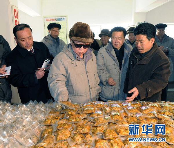 Life review of DPRK leader Kim Jong Il [Xinhua file photo]