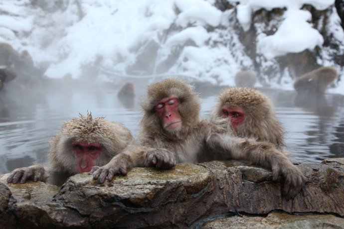 (Photo: hunantv.com) 