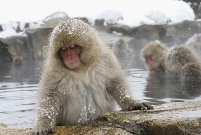 (Photo: hunantv.com) 