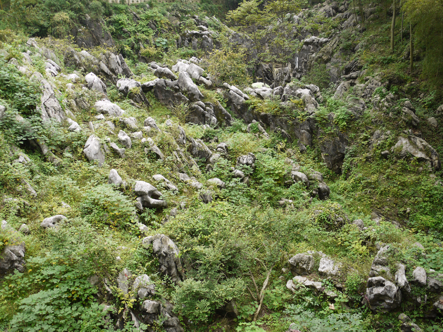 Muli Cave Scenic Spot is located in the Jintang Mountain, southwest of Yixing City, Jiangsu Province. Being one of the key attractions around Taihu Lake, and one of the 10 best attractions in Yixing, it is famous for the beautiful scenery, rockery stones, pottery arts and especially the Muli Cave. The cave is known as a full-filled-reviving karst cave. [Photo by Xu Lin / China.org.cn]