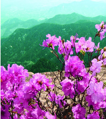 Mengshan Mountain in Linyi