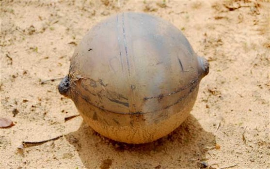 With a diameter of 14 inches, the ball has a rough surface and appears to consist of 'two halves welded together'. [Agencies]