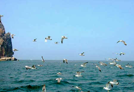 The Bohai Bay [File photo] 