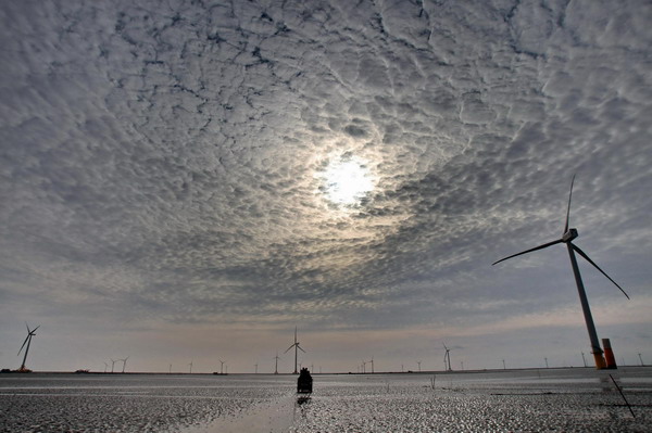 China&apos;s largest wind farm blows into operation